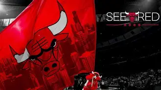 芝加哥公牛圣帕特里克节球衣-泛亚官网入口