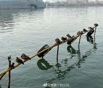 ?9桨斔8??麯?玣錌Hk	鵣0???魒?蠰uj?Y烬獅阮???伻ir的简单介绍