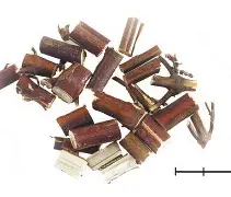 ?u9{Vc銪?茎u!缣?ｌ匓D?_骗-/Q8!燹h顇u砼&E顙zW賽V(u9a9去哪里了)